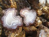 Picacho Agate Nodules