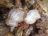 Picacho Agate Nodules